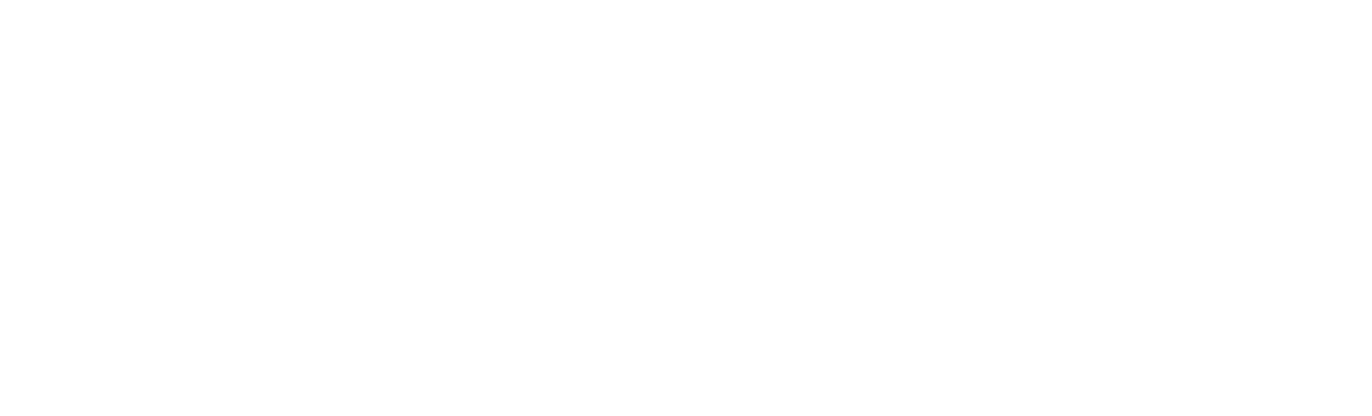 Drive Solo Logo Drive Solo Logo